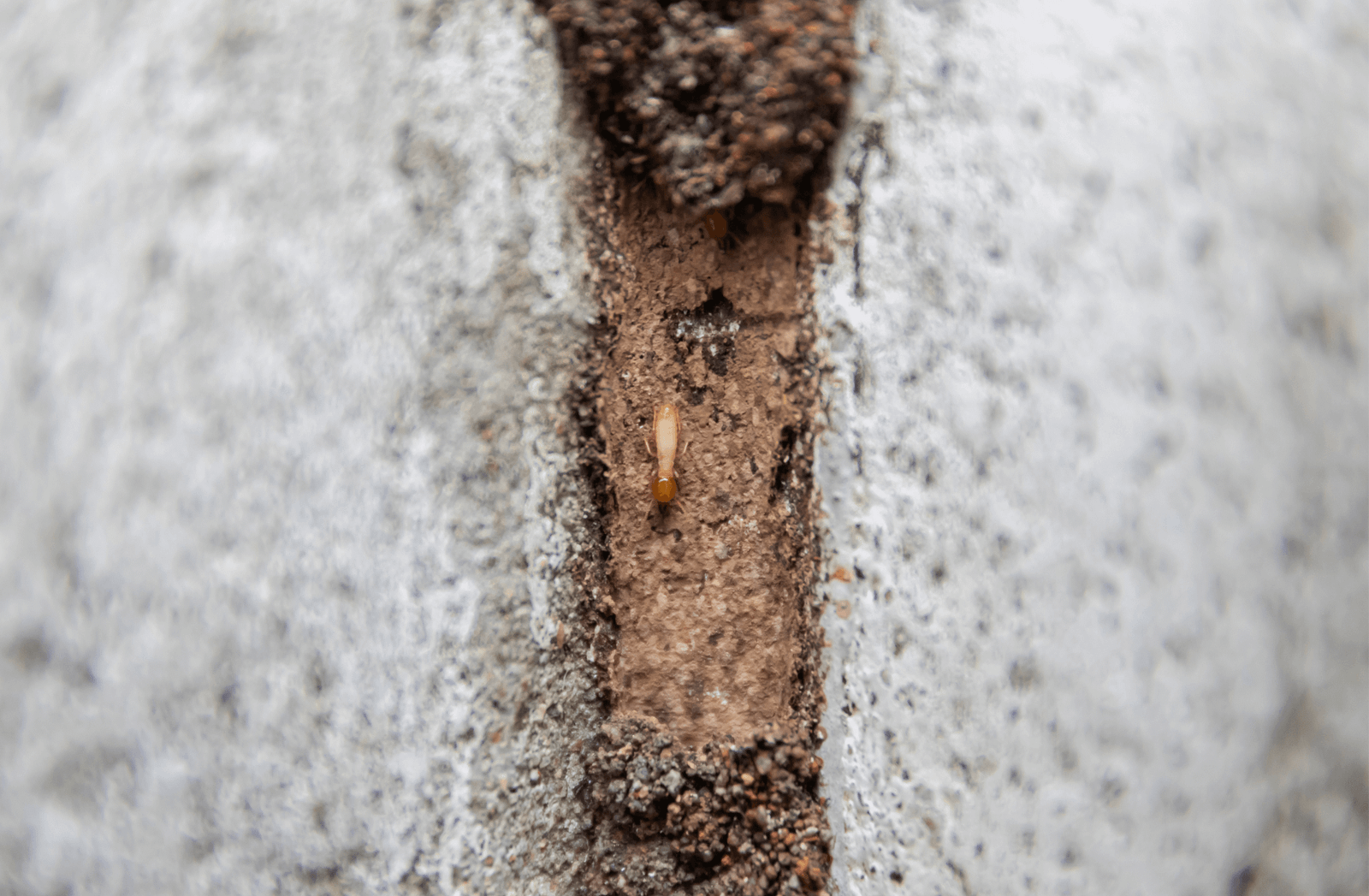 The Real Cost of Skipping Your Cold Weather Property Protection