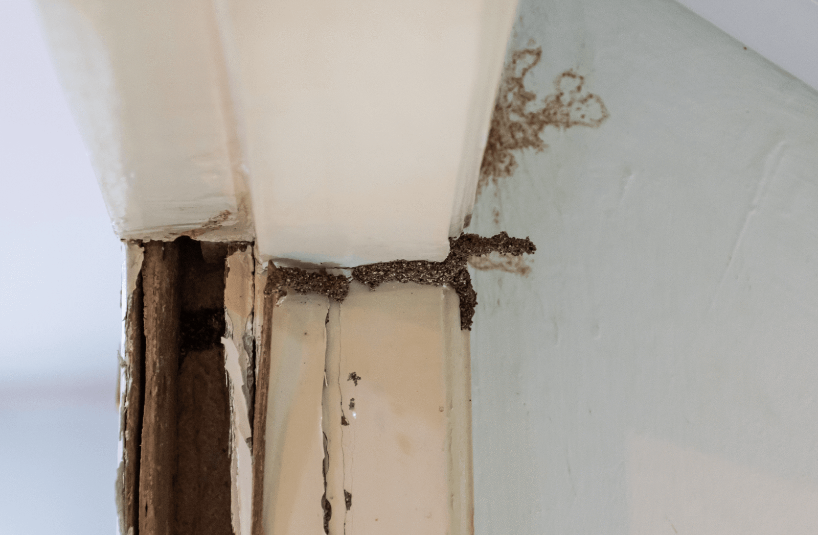 The Real Cost of Skipping Your Cold Weather Property Protection